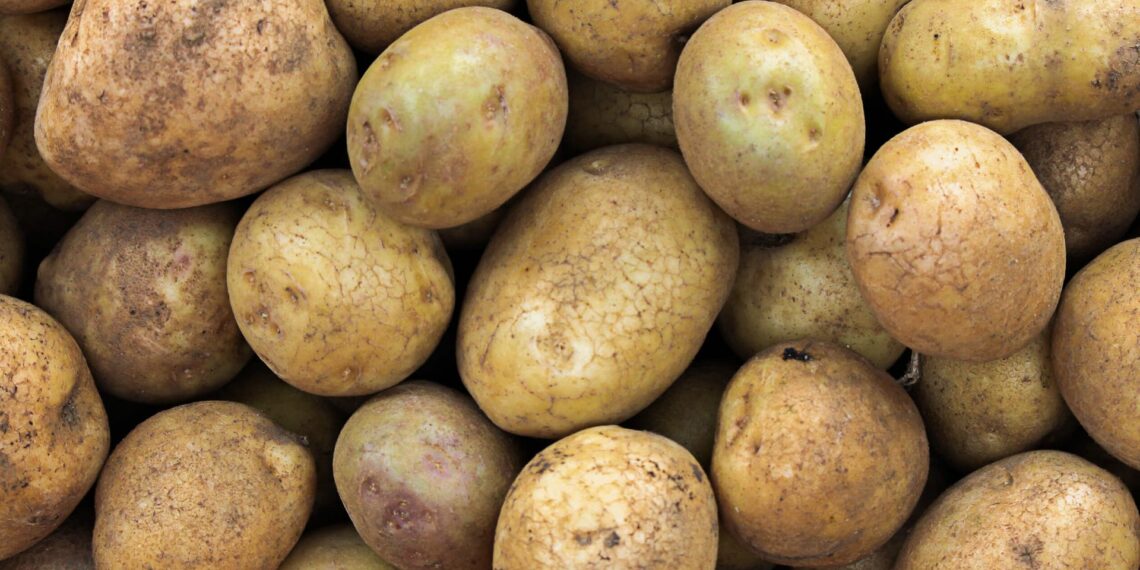 سوسة: حجز 4.2 طن من البطاطا المعدة للاستهلاك