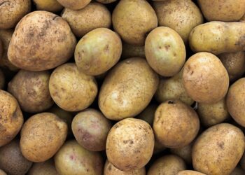 سوسة: حجز 4.2 طن من البطاطا المعدة للاستهلاك