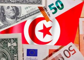 تحويلات التونسيين بالخارج تذهب بالاساس الى الاستهلاك واقتناء العقارات وغياب استراتيجيات وطنية لتنميتها وتحويلها الى استثمارات في التنمية