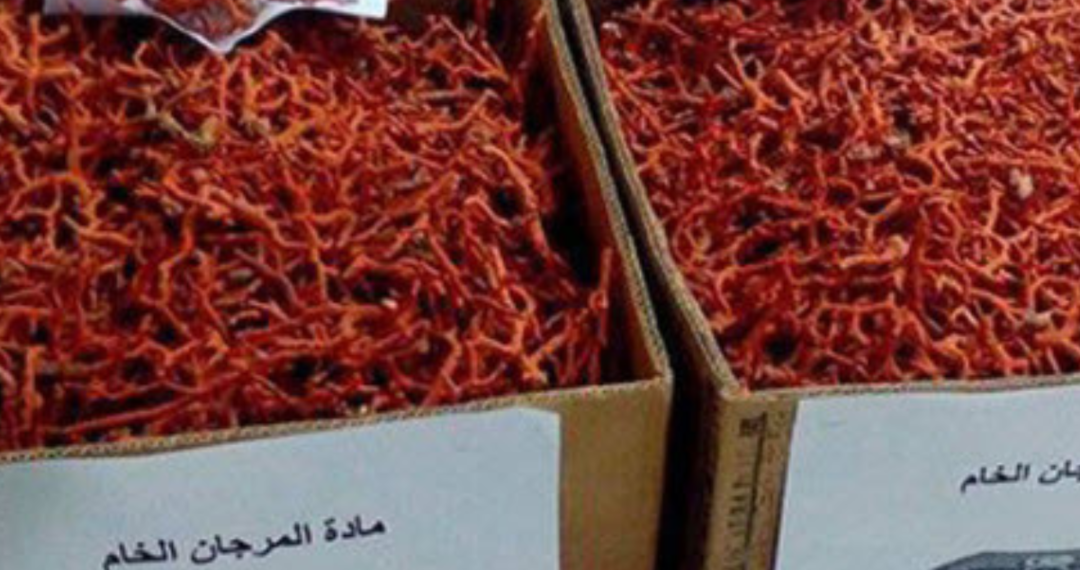 طبرقة: حجز 60 كيلوغراما من مادة المرجان