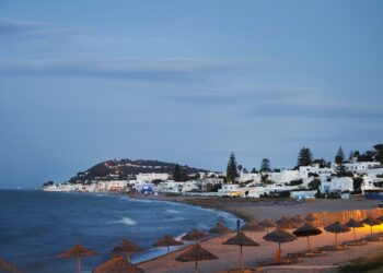 اللوجستيك المعادلة الصعبة والعقبة امام استغلال المؤشرات الايجابية للسياحة التونسية!!