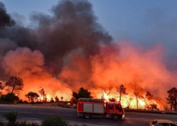 حرائق نفزة تسبب تلف 9200 شجرة مثمرة ونفوق أغنام و طيور