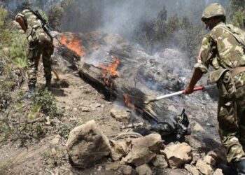 الجزائر: إندلاع حريق ببجاية