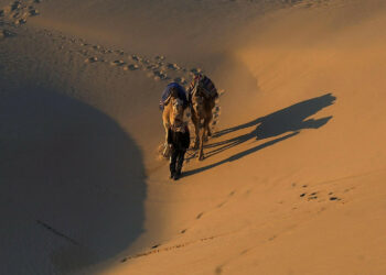 صالون باريس فرصة للترويج للسياحة الصحرواية والطرق السياحية