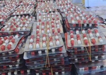 حجز 52 ألف قرص مهلوس على الحدود الجزائرية التونسية