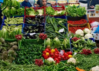 خلال شهر أوت: تسجيل 519 مخالفة متعلقة بالاحتكار والترفيع في الاسعار