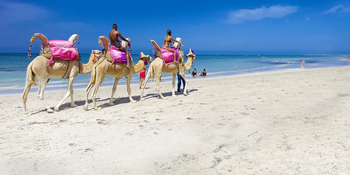 من 10 إلى 25 سبتمبر: مناقشة ملف تونس لتسجيل جزيرة جربة على لائحة التراث العالمي لليونسكو”