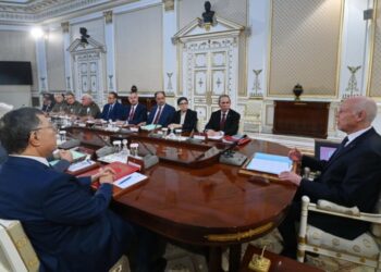 سعيّد: “تونس معتزة بانتمائها الإفريقي وتعمل على أن تكون إفريقيا للأفارقة ولكن في نطاق القانون”