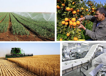 البنك المركزي: تونس ستنتفع ب 4,4٪ من القروض الممنوحة للفلاحة