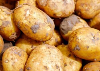 بنزرت: حجز 82 طنا من  البطاطا بأحد مخازن التبريد والاحتفاظ بـ3 أشخاص