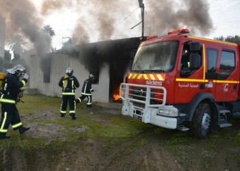 قفصة: حريق يتسبب في نفوق 78 رأس غنم