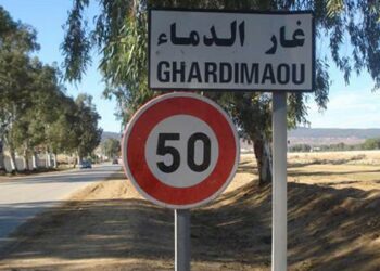 جندوبة: حجز حيوانات مهرّبة