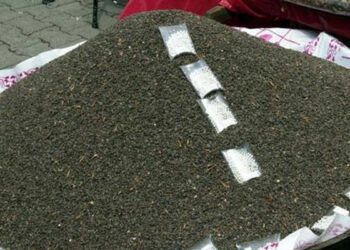 أسعار مرتفعة للـ”زقوقو” لهذا العام