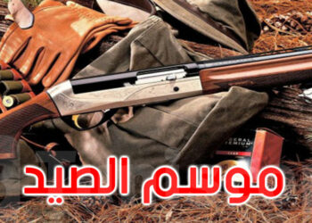 وزارة الفلاحة تحدد مواعيد فتح وإغلاق صيد عديد الأصناف