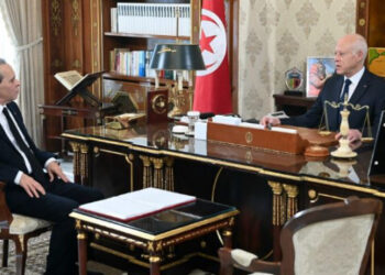 رئيس الجمهورية: “يجب إنقاذ المؤسسات والمنشآت العمومية من شبح الإفلاس وتطهيرها ممن اندسوا داخلها”