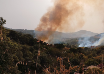 باجة: إندلاع حريق بمنطقة المخشبية