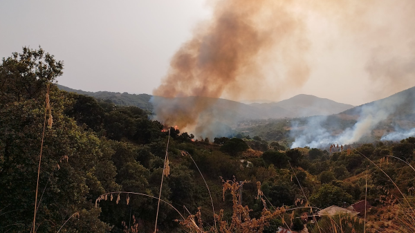 باجة: إندلاع حريق بمنطقة المخشبية