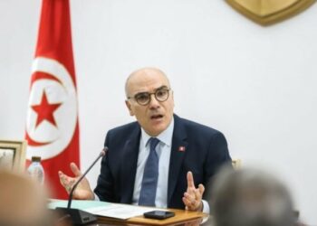 وزير الخارجية: “تونس مع استرجاع الحق الفلسطيني كاملا” و”الحل يكمن في وحدة كل الدول العربية في مواجهة الحرب على غزة”