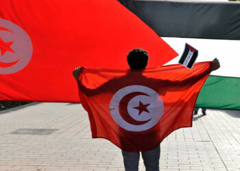 تونس تتحفظ جملة وتفصيلا على قرار جامعة الدول العربية في الشأن الفلسطيني