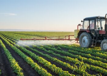 في كل من سيدي بوزيد والمهدية وقابس والقيروان: المصادقة على استثمارات فلاحية خاصة بقيمة 11 مليون دينار