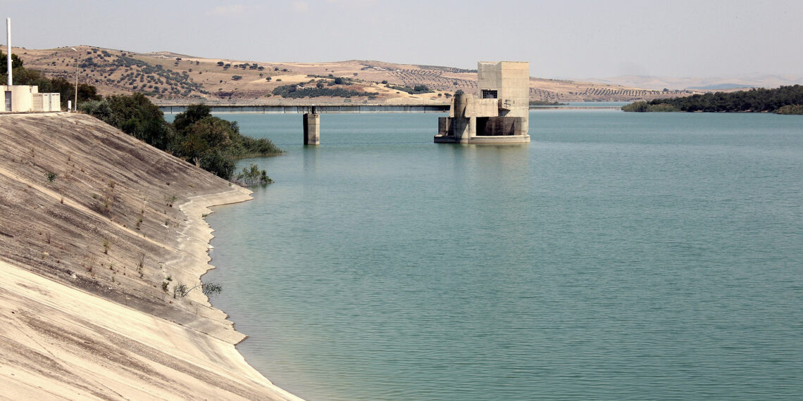 استعمالات الماء 10 مرات حجم إيرادات السدود