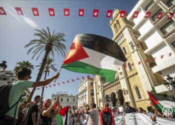 وزارة التعليم العالي تقّر إجراءات لدعم الطلبة الفلسطينيين بتونس