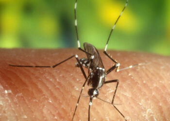 وزارة الصحة تسجل 10 إصابات بحمى غرب النيل وتأخذ الإحتياطات اللازمة