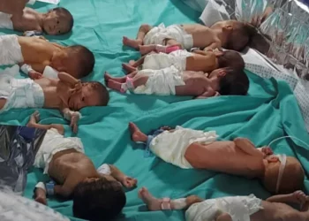 أطفال غزة الخدج خارج حضاناتهم بسبب الحرب الإسرائيلية