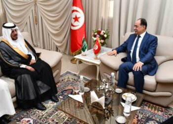 وزير الداخلية يلتقي وفدا من الدفاع المدني السعودي