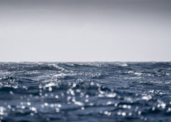 شاب تونسي يصل إلى الساحل الإيطالي بمفرده