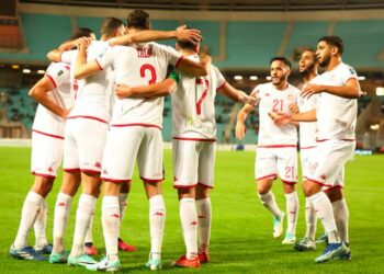 تونس تأمل فك عقدة الأراضي المالاوية