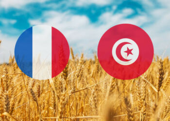 فرنسا تزوّد تونس بالقمح اللين الموجّه والشعير