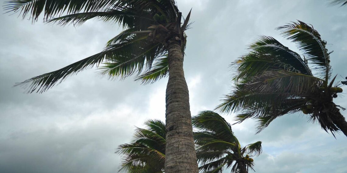 الطقس: رياح قوية اليوم وغدا الجمعة