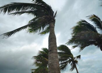 الطقس: رياح قوية اليوم وغدا الجمعة