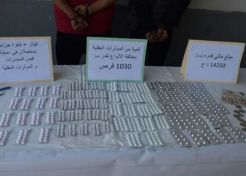 حجز 1030 قرصا من الحبوب المهلوسة على الحدود التونسية الجزائرية