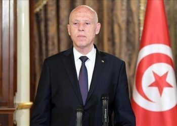 سعيّد يتسلم أوراق اعتماد سفراء جدد بتونس