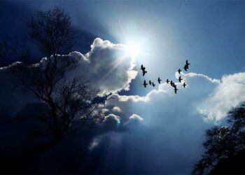 الخميس: طقس مغيم جزئيا بأغلب الجهات