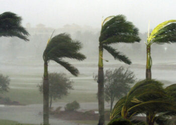 طقس اليوم: سحب عابرة ورياح قوية