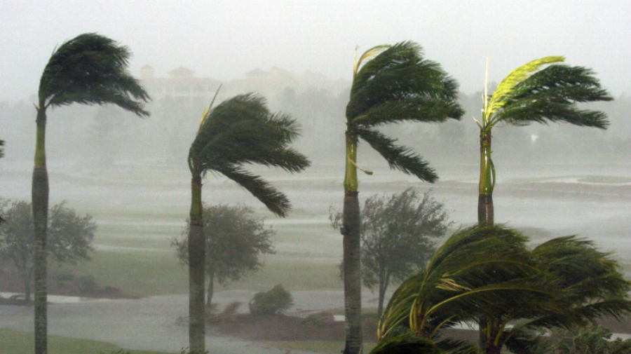 طقس اليوم: سحب عابرة ورياح قوية