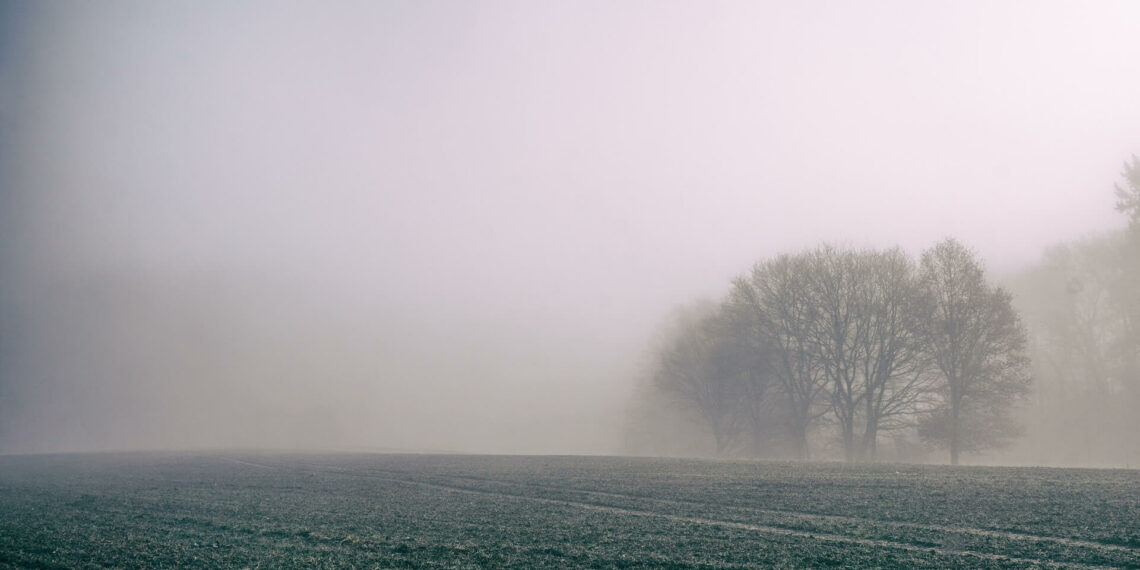 الثلاثاء: ضباب كثيف مع ارتفاع طفيف في درجات الحرارة