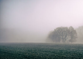 الثلاثاء: ضباب كثيف مع ارتفاع طفيف في درجات الحرارة