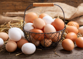 إرتفاع في إنتاج البيض بنسبة 2ر6 بالمائة