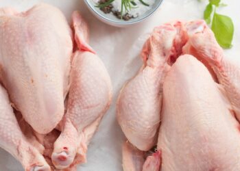 إرتفاع إنتاج دجاج اللحم  بنسبة 9ر8 بالمائة