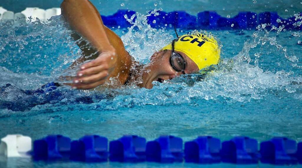 البطولة العربية للسباحة: المنتخب التونسي يحرز 7 ميداليات