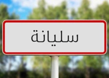 سليانة: توفير 1200 مساعدة لمجابهة موجة البرد