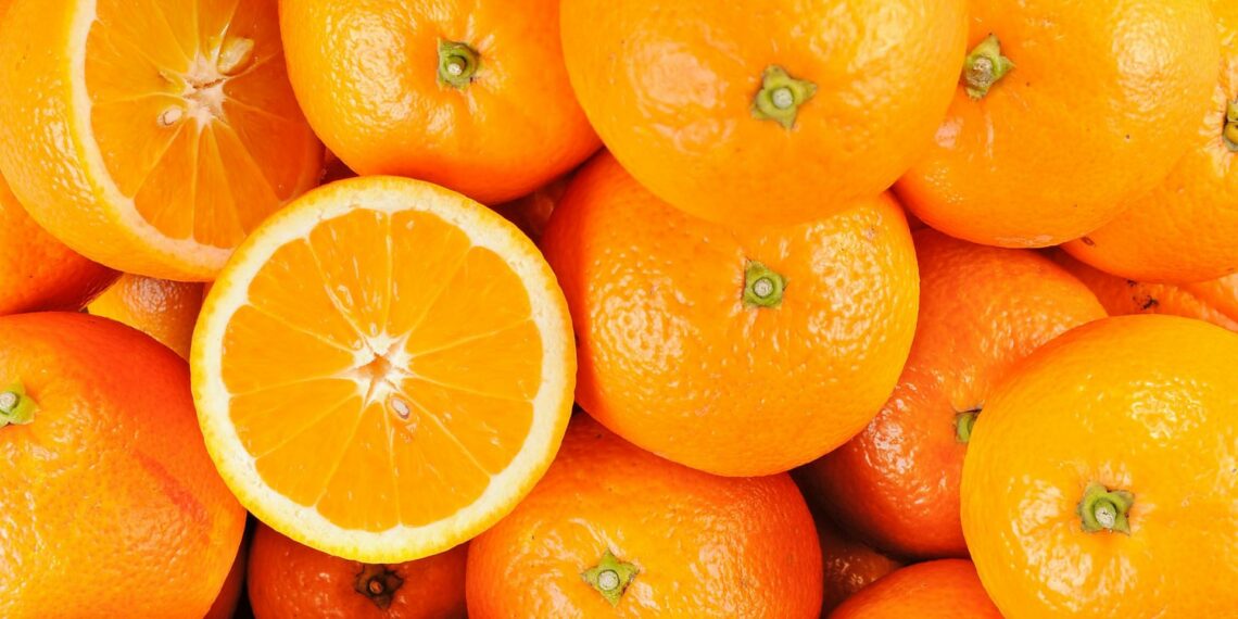 السبت: إنطلاق موسم تصدير البرتقال المالطي