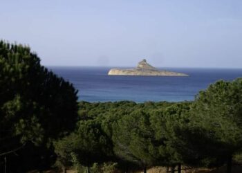 طقس الجمعة 26 جانفي 2024