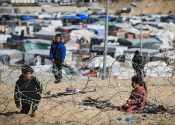 إستشها.د 24100 فلسطيني جراء العد.وان الإسرائيلي منذ 7 أكتوبر