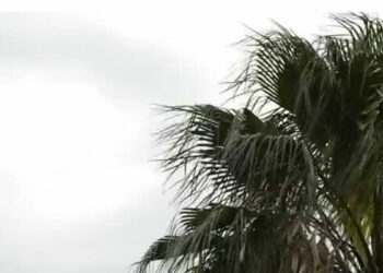 اليوم: السماء مغيمة ودرجات الحرارة في ارتفاع