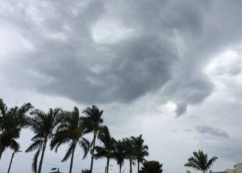 اليوم: السماء مغيمة ودرجات الحرارة في ارتفاع